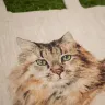 “Murzik Portrait” Linen Shopping Bag 
