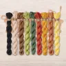 Set of OwlForest Hand-Dyed Threads for the “Pumpkin Night” Chart (DMC)