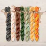Set of OwlForest Hand-Dyed Threads for the “Pretty Pumpkins” Free Chart (Thread Trade n.a. Kirov)