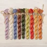 Set of OwlForest Hand-Dyed Threads for “The Little Wood Folk. Hedgehogs” Chart (DMC)