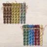 Set of OwlForest Hand-Dyed Threads for the “Imagination Flight” Chart (DMC)