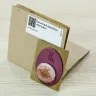 Magnet Needle Minder “Moth”