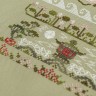 Embroidery kit “Garden Carps”