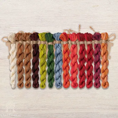 Set of OwlForest Hand-Dyed Threads for the “Borshch” Chart (DMC)