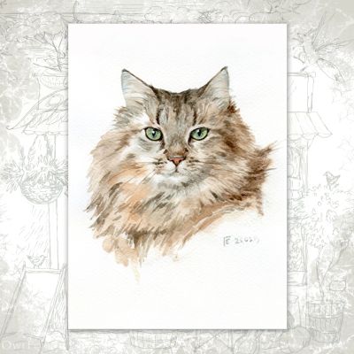 “Murzik Portrait” Postcard