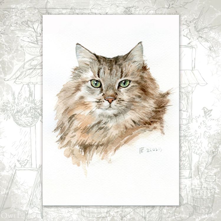 “Murzik Portrait” Postcard