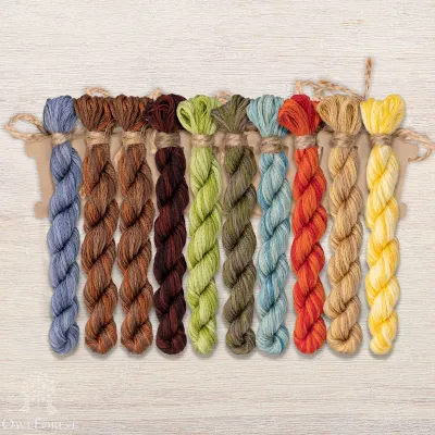 Set of OwlForest Hand-Dyed Threads for the “Forest Houses. Beavers” Chart (DMC)