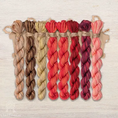 Set of OwlForest Hand-Dyed Threads for the “Glorious Leopard” Chart (DMC)