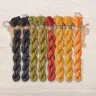 Set of OwlForest Hand-Dyed Threads for the “Pumpkin Quaker” Chart (DMC)