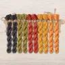 Set of OwlForest Hand-Dyed Threads for the “Pumpkin Quaker” Chart (DMC)