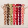 Set of OwlForest Hand-Dyed Threads for the “Glorious Leopard” Chart  (Thread Trade n.a. Kirov)