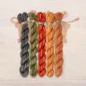 Set of OwlForest Hand-Dyed Threads for the “Pumpkin Quaker” Chart (Thread Trade n.a. Kirov)