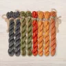 Set of OwlForest Hand-Dyed Threads for the “Pumpkin Quaker” Chart (Thread Trade n.a. Kirov)