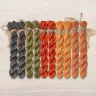Set of OwlForest Hand-Dyed Threads for the “Pumpkin Quaker” Chart (Thread Trade n.a. Kirov)