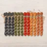 Set of OwlForest Hand-Dyed Threads for the “Pumpkin Quaker” Chart (Thread Trade n.a. Kirov)