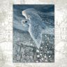“Fluffy Snowflakes Princess” Postcard