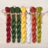 Set of OwlForest Hand-Dyed Threads for the “Night Tango” Chart (DMC)