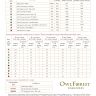 Digital embroidery chart “Owl Travellers”