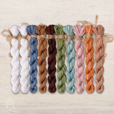 Set of OwlForest Hand-Dyed Threads for the “Lace Framed Birds. Robins” Chart (DMC)
