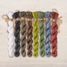 Set of OwlForest Hand-Dyed Threads for the “Robins” Chart (DMC)