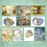 “Aquarel” Postcard Set  