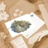 “Aquarel” Postcard Set  