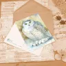 “Aquarel” Postcard Set  