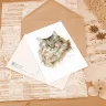 “Aquarel” Postcard Set  