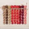 Set of OwlForest Hand-Dyed Threads for the “Peahen Bird” Chart (DMC)