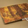 “Owl Forest” Notebook
