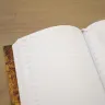 “Owl Forest” Notebook