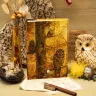 “Owl Forest” Notebook