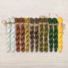 Set of OwlForest Hand-Dyed Threads for the “Backwater. Day” Chart (DMC)