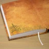 “Owl in Mushroom Cap” Notebook