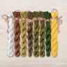 Set of OwlForest Hand-Dyed Threads for the “Backwater. Day” Chart (Thread Trade n.a. Kirov)