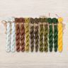 Set of OwlForest Hand-Dyed Threads for the “Backwater. Day” Chart (Thread Trade n.a. Kirov)