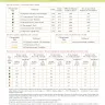 Printed embroidery chart “Kiwi Birds”