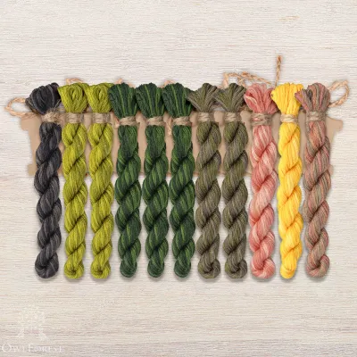 Set of OwlForest Hand-Dyed Threads for the “Kiwi Birds” Chart (DMC)