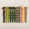 Set of OwlForest Hand-Dyed Threads for the “Kiwi Birds” Chart (DMC)
