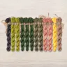 Set of OwlForest Hand-Dyed Threads for the “Kiwi Birds” Chart (DMC)
