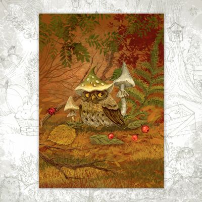 “Owl in Mushroom Cap” Postcard
