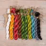 Embroidery kit “Lemuria. Chameleon”