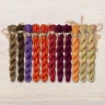 Set of OwlForest Hand-Dyed Threads for the “Autumn Colors” (Thread Trade n.a. Kirov) 