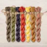 Set of OwlForest Hand-Dyed Threads for the “Glutton Waxwing” Chart (DMC)