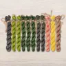 Set of OwlForest Hand-Dyed Threads for the “Kiwi Birds” Chart (Thread Trade n.a. Kirov)