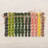 Set of OwlForest Hand-Dyed Threads for the “Kiwi Birds” Chart (Thread Trade n.a. Kirov)