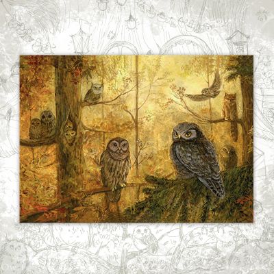 “Owl Forest” Postcard