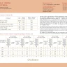 Digital embroidery chart “Striped zebras”