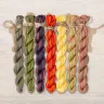 Set of OwlForest Hand-Dyed Threads for the “Glutton Waxwing” Chart (Thread Trade n.a. Kirov)