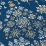 Printed embroidery chart “Snow Dance” 